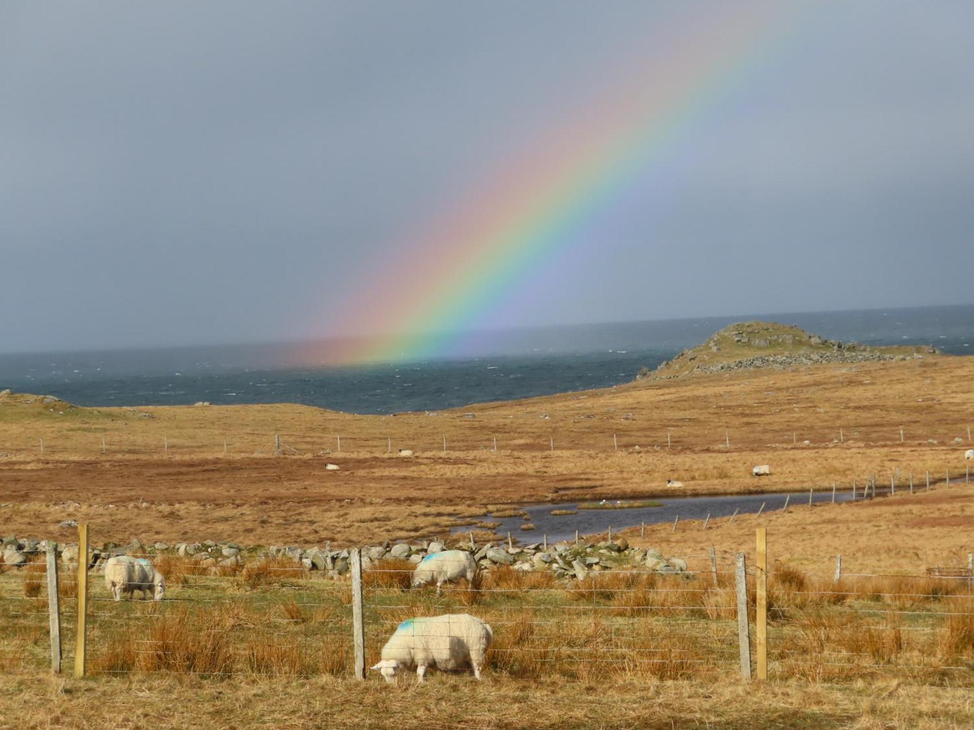 Vila Squealing Pig Bothy Barvas Exteriér fotografie