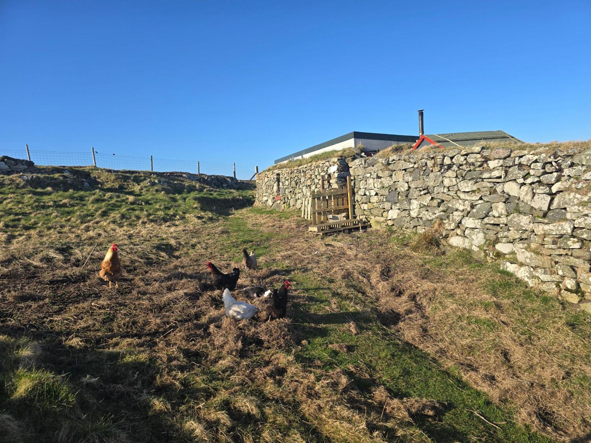 Vila Squealing Pig Bothy Barvas Exteriér fotografie
